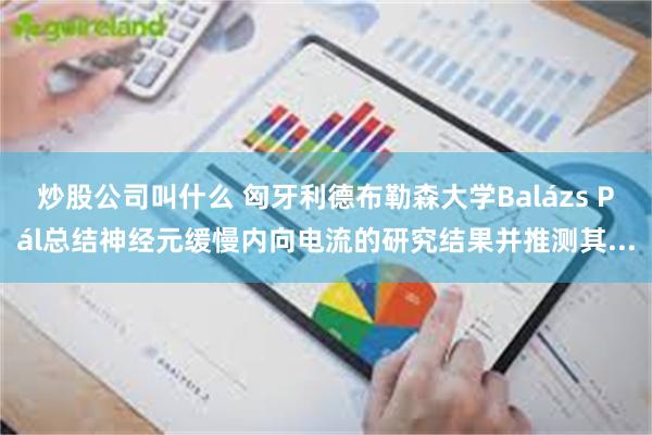 炒股公司叫什么 匈牙利德布勒森大学Balázs Pál总结神经元缓慢内向电流的研究结果并推测其...