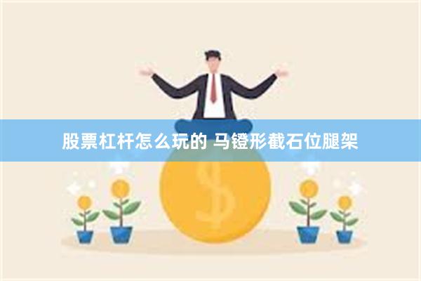 股票杠杆怎么玩的 马镫形截石位腿架