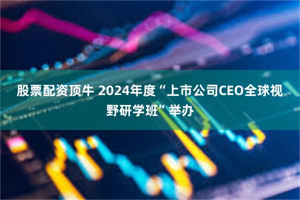 股票配资顶牛 2024年度“上市公司CEO全球视野研学班”举办