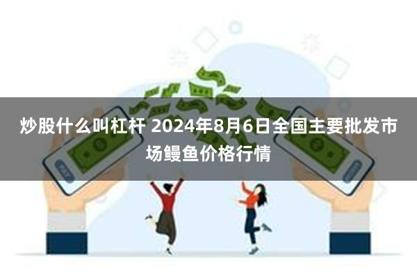 炒股什么叫杠杆 2024年8月6日全国主要批发市场鳗鱼价格行情