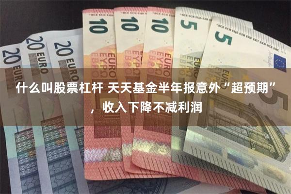 什么叫股票杠杆 天天基金半年报意外“超预期”，收入下降不减利润