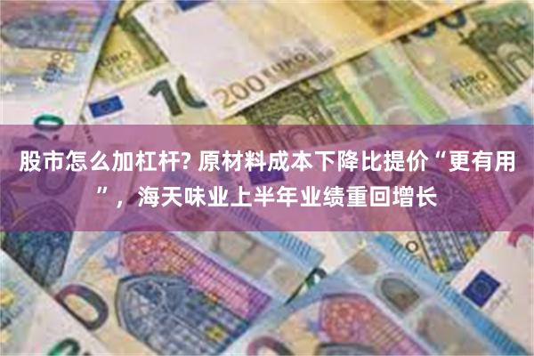 股市怎么加杠杆? 原材料成本下降比提价“更有用”，海天味业上半年业绩重回增长