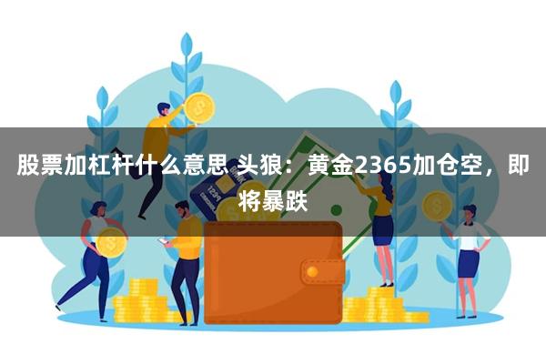 股票加杠杆什么意思 头狼：黄金2365加仓空，即将暴跌