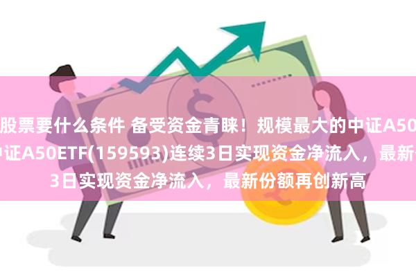 股票要什么条件 备受资金青睐！规模最大的中证A50ETF——平安中证A50ETF(159593)连续3日实现资金净流入，最新份额再创新高