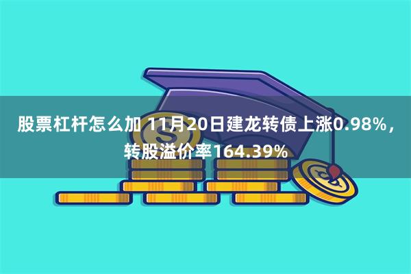 股票杠杆怎么加 11月20日建龙转债上涨0.98%，转股溢价率164.39%