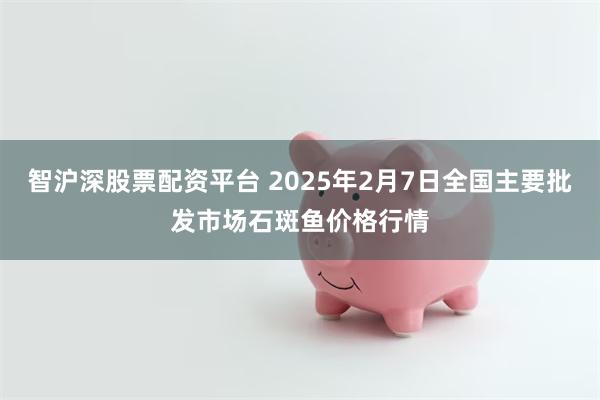 智沪深股票配资平台 2025年2月7日全国主要批发市场石斑鱼价格行情