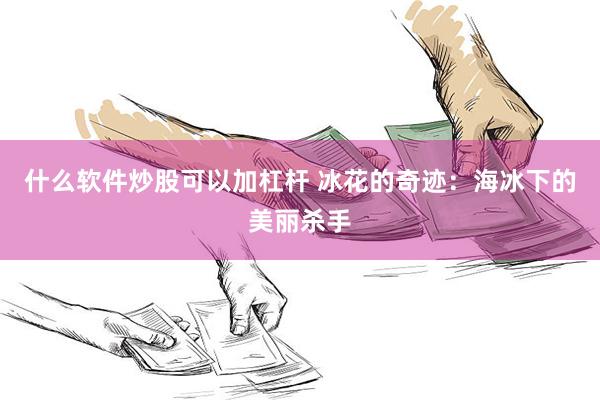 什么软件炒股可以加杠杆 冰花的奇迹:海冰下的美丽杀手